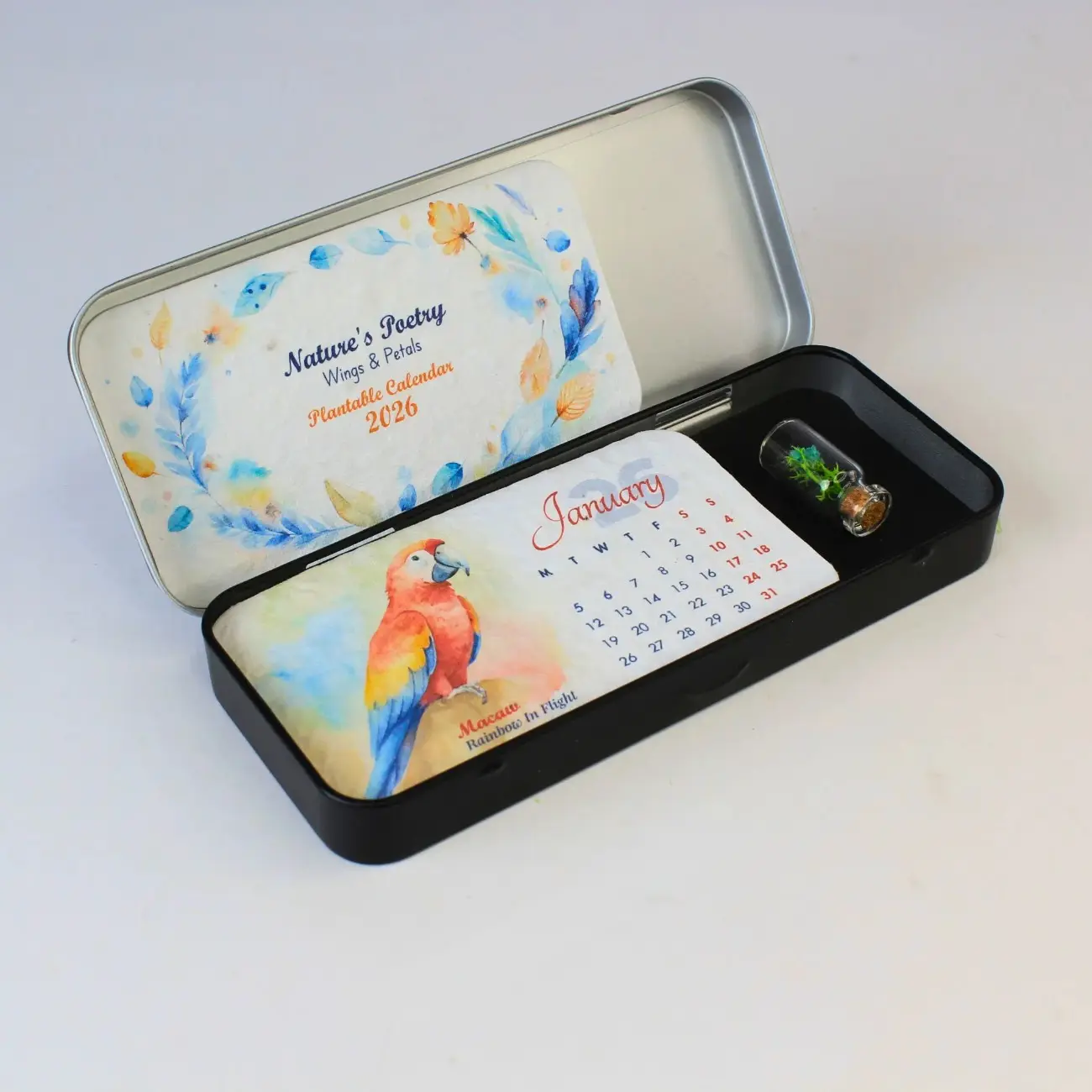 BOX FOREST CALENDAR (PLANTABLE)