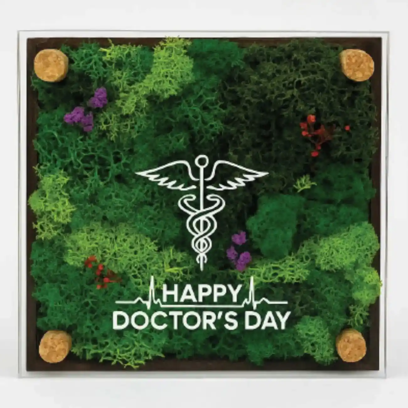 FOREST MEMOIR WHISPER