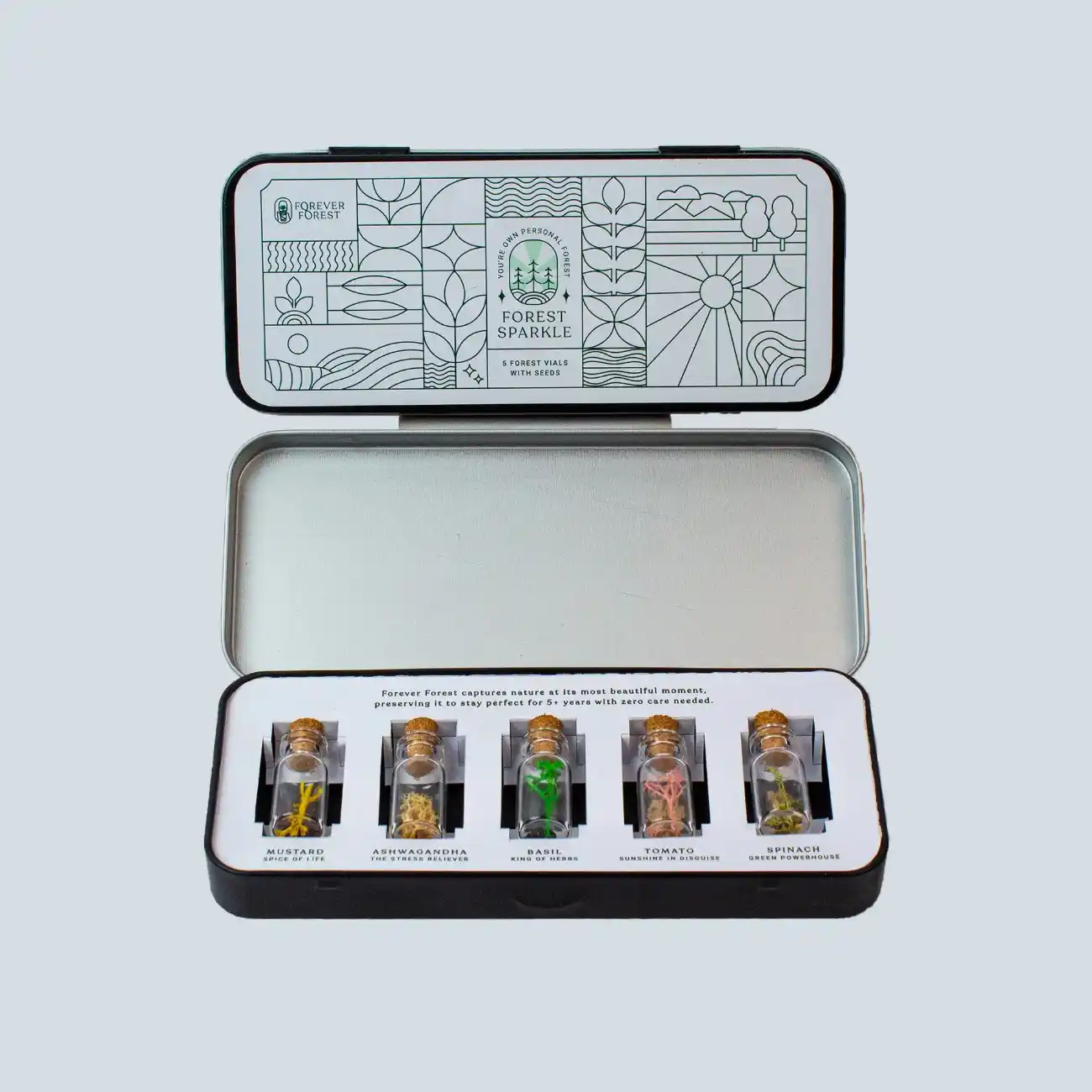 FOREST SPARKLE (5 SEEDS)