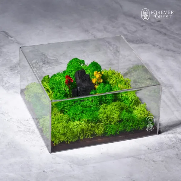 FOREST TERRARIUM CLASSIC