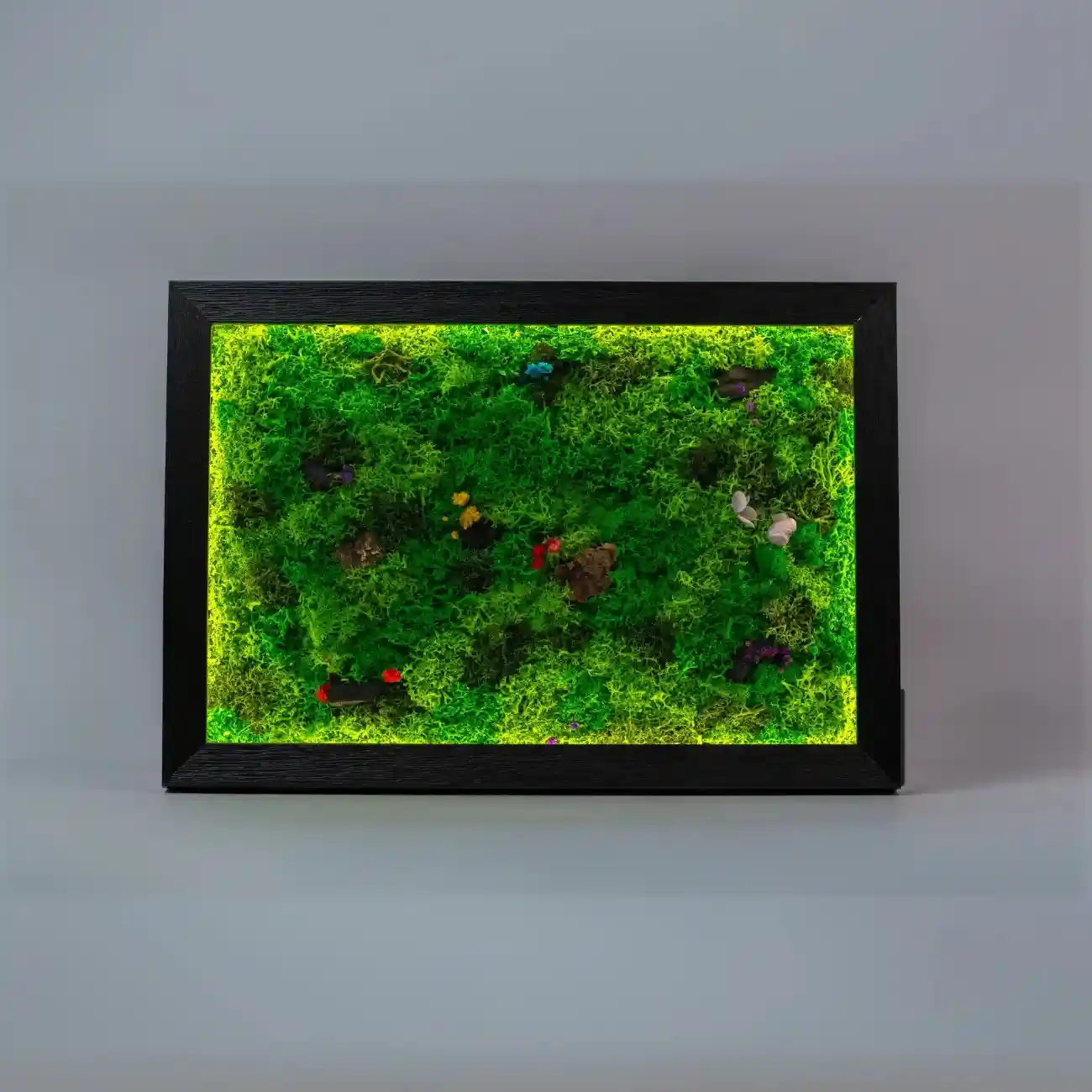 LED FOREST SHADOW FRAME